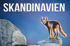 BILDER DER ERDE: Skandinavien - unberührte Wildnis